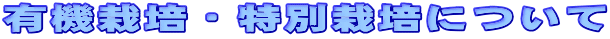 L@͔|Eʍ͔|ɂ